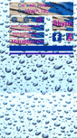 Mobile Screenshot of car-wash-system.at
